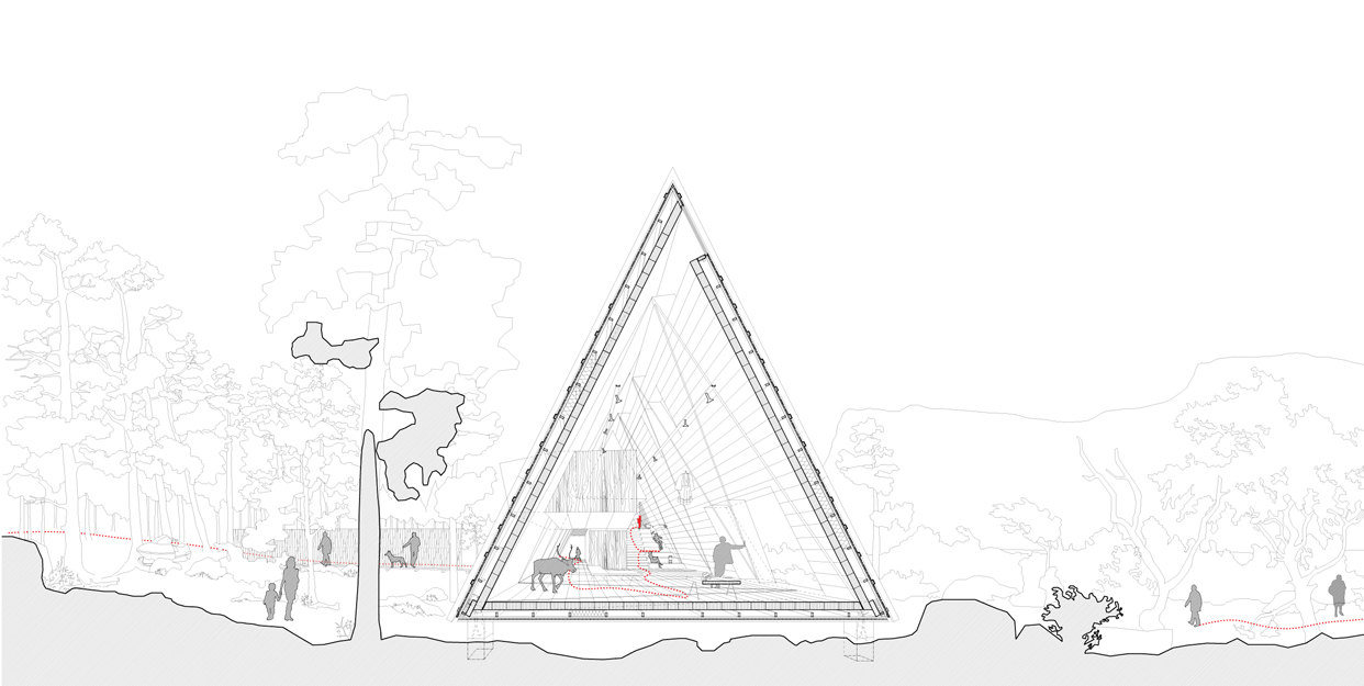 Rakkas_naturum_Laponia_illustration_section_varg_arkitekter